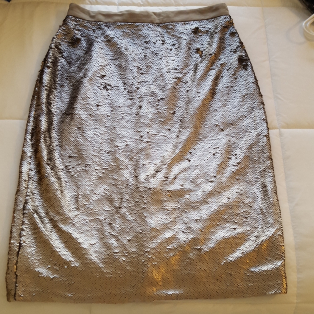 Banana Republic Woman's Skirt